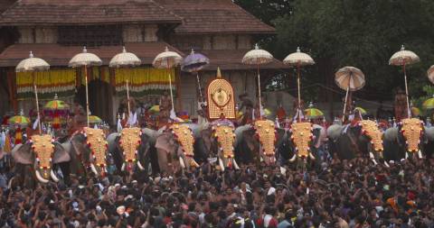 Kudamattam at Thrissur Pooram Festival, Kerala