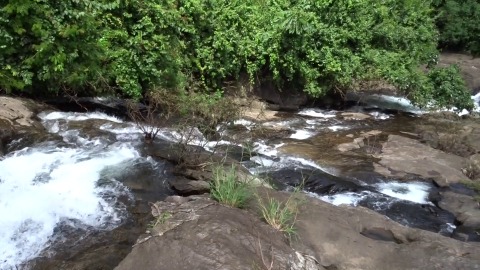 Thusharagiri falls surrounded by green forests
