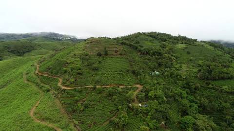 Aerial shot of Vagamon Hills, Idukki