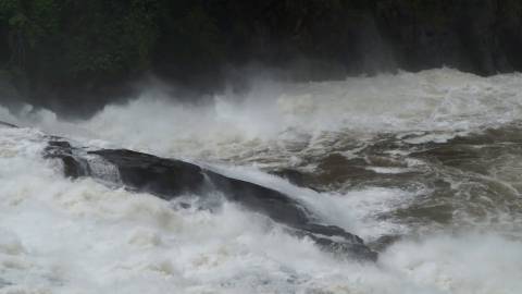 Water gushes down to form milky stream, Kerala