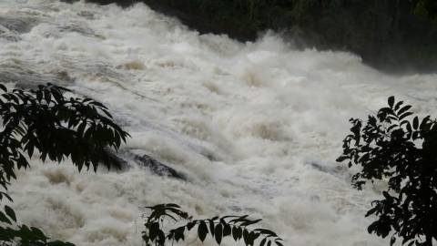 Abundant water flow at Athirappilly Falls, Thrissur