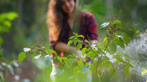 Woman watering plants in Kerala