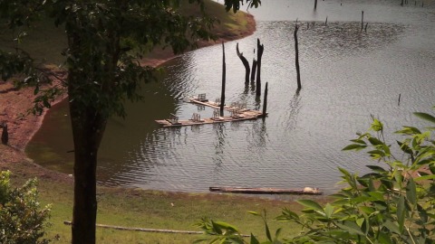 Wind creates ripples at Periyar Lake in Thekkady