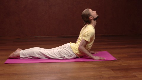 Yoga Posture - Bhujangasana