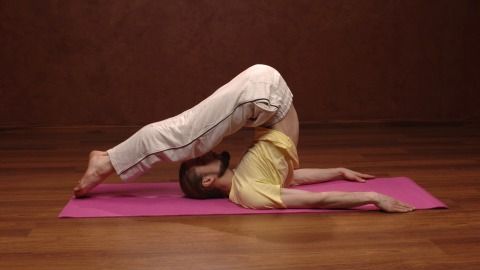 Yoga Posture - Halasana