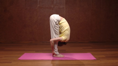 Yoga posture - Uttanasana